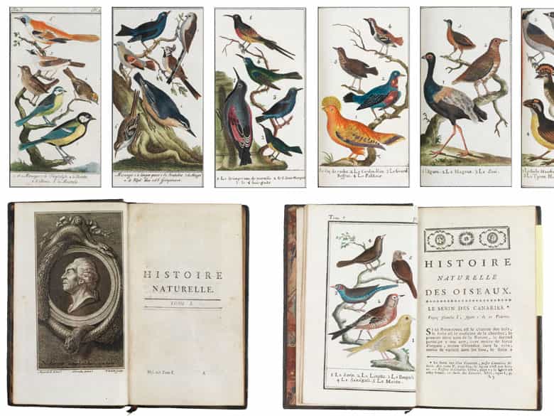 Detailabbildung: † Eine Bibliothek des 18. und 19. Jahrhunderts