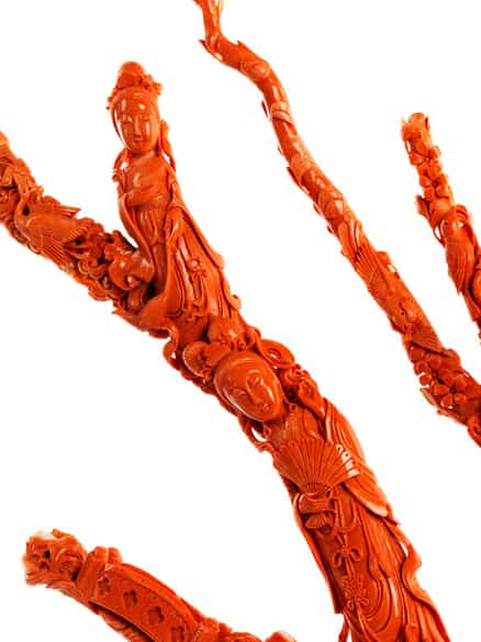 Detailabbildung:  Großer Korallenbaum