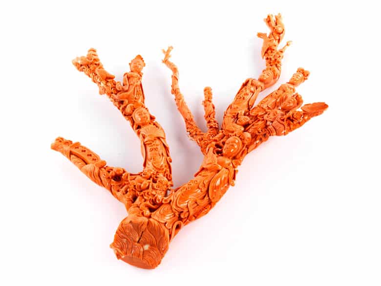 Detailabbildung:  Großer Korallenbaum