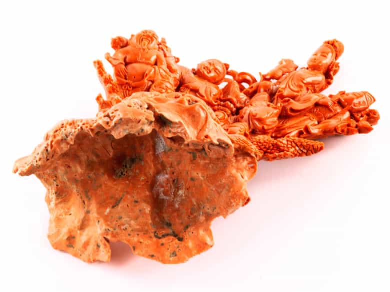 Detailabbildung: Roter Korallenbaum