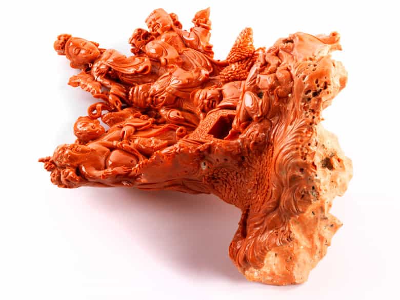 Detailabbildung: Roter Korallenbaum