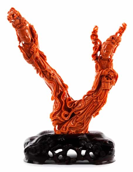 Detailabbildung:  Roter Korallenbaum