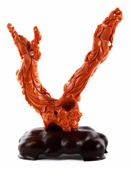 Detailabbildung:  Roter Korallenbaum