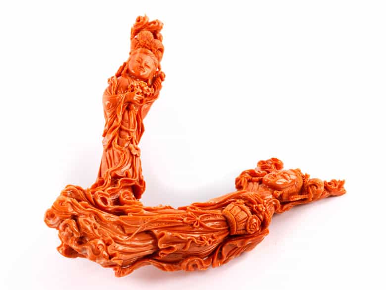 Detailabbildung:  Roter Korallenbaum