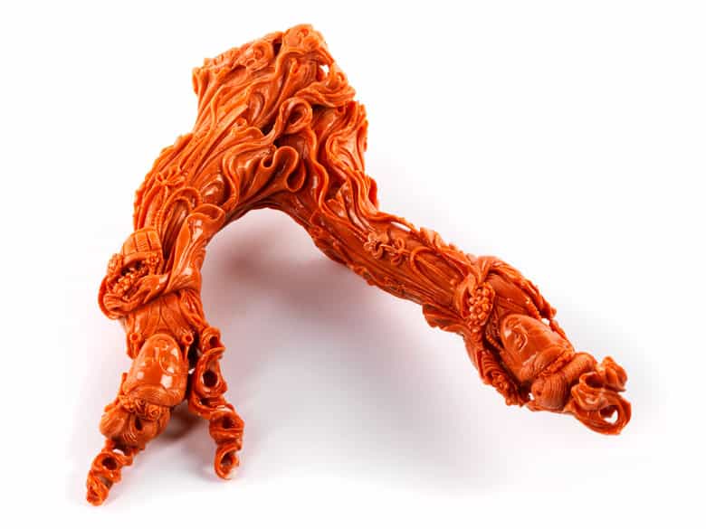 Detailabbildung:  Roter Korallenbaum