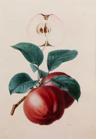 Detailabbildung: Alfred Riocreux, 1820 Sèvres – 1912 Paris