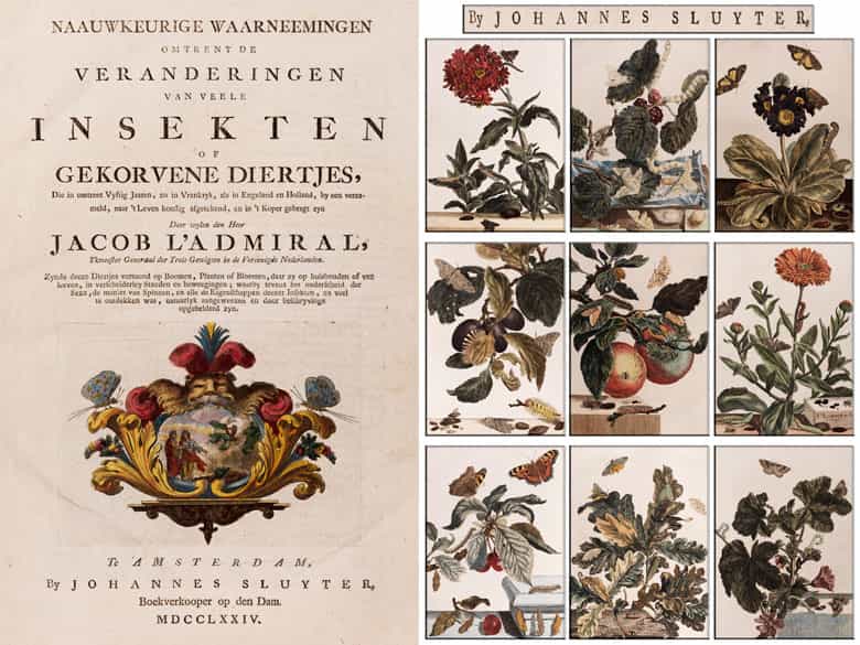 Detailabbildung: Une grande bibliothèque francaise avec 904 livres du 18ème siècle