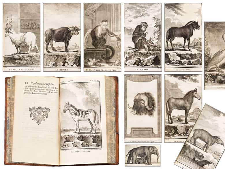 Detailabbildung: Une grande bibliothèque francaise avec 904 livres du 18ème siècle