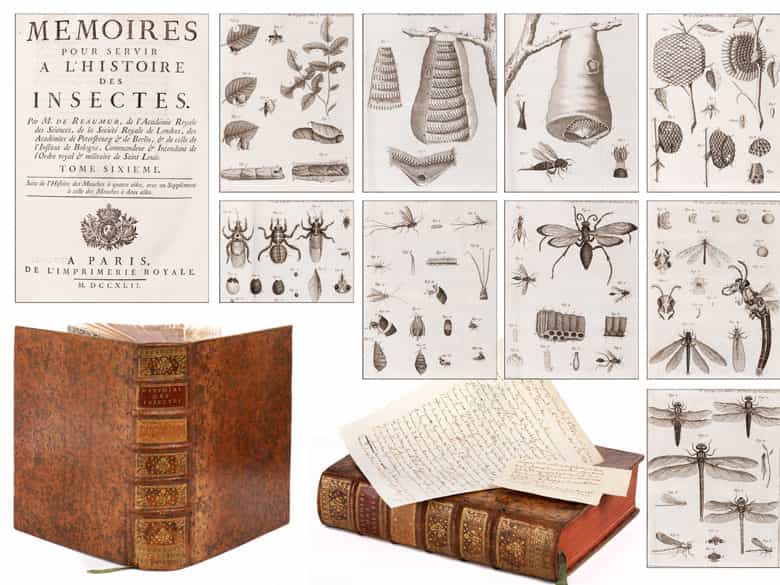 Detailabbildung: Une grande bibliothèque francaise avec 904 livres du 18ème siècle