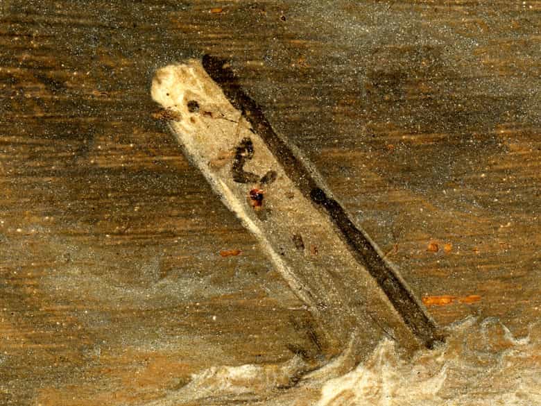 Detailabbildung:  Pieter Mulier, 1615 Haarlem - 1670 ebenda