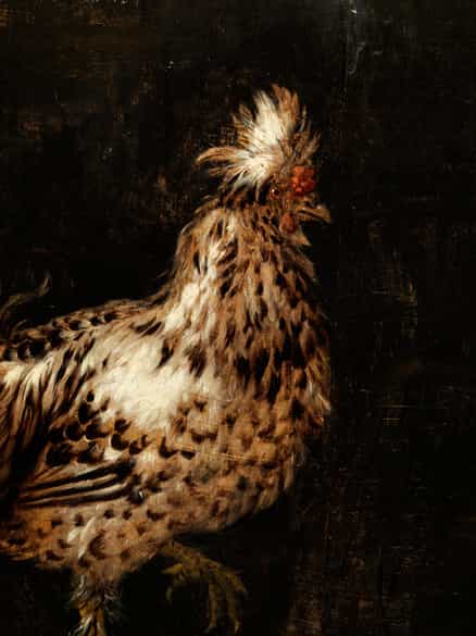 Detailabbildung:  Petrus Schotanus, 1601 – 1675