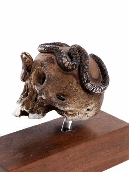 Detailabbildung:  Konvolut sechs Memento Mori-Objekten