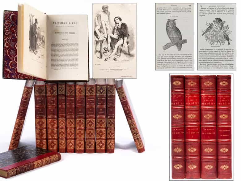 Detailabbildung: † Eine Bibliothek des 19. Jahrhunderts