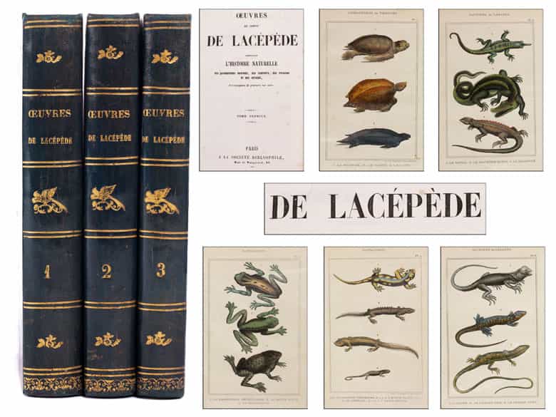 Detailabbildung: † Eine Bibliothek des 19. Jahrhunderts