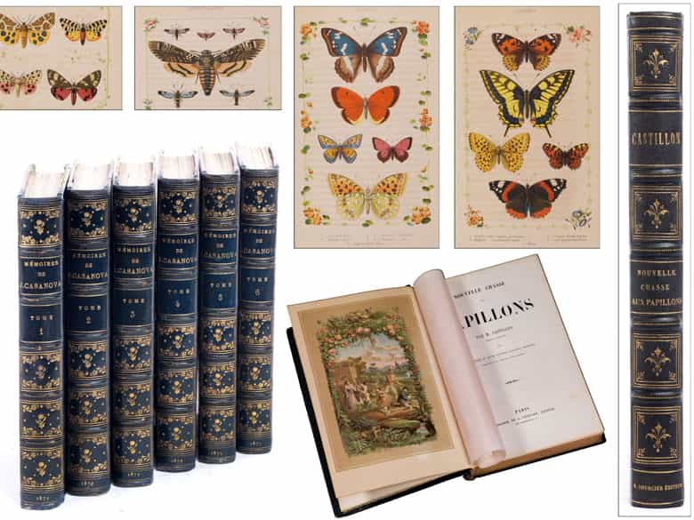 Detailabbildung: † Eine Bibliothek des 19. Jahrhunderts