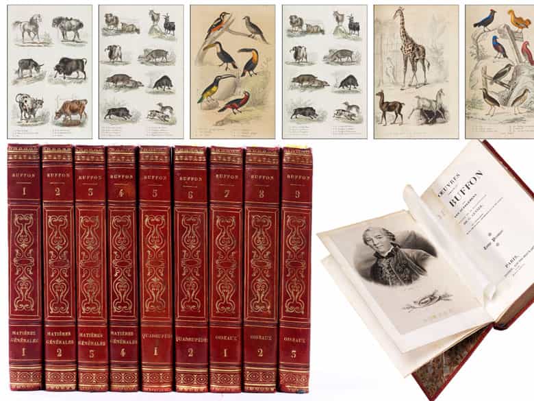 Detailabbildung: † Eine Bibliothek des 19. Jahrhunderts