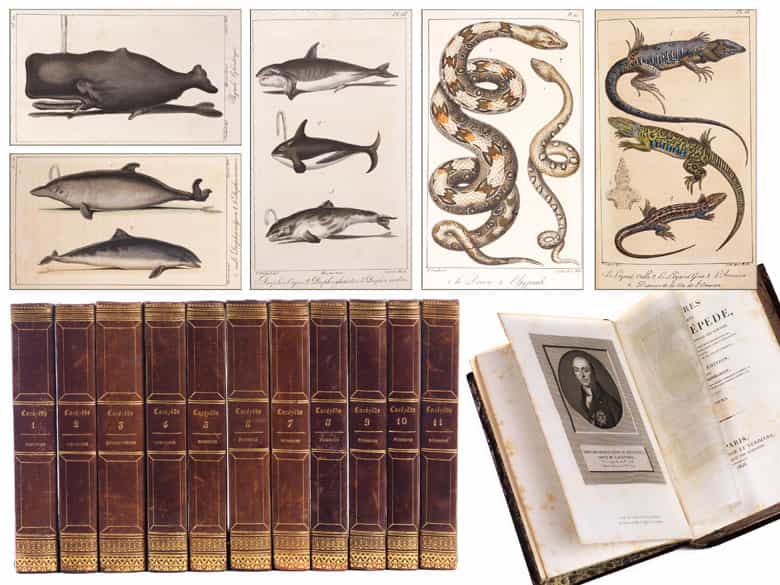 Detailabbildung: † Eine Bibliothek des 19. Jahrhunderts