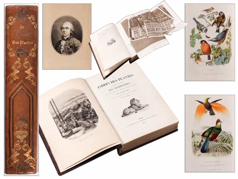 Detailabbildung: † Eine Bibliothek des 19. Jahrhunderts