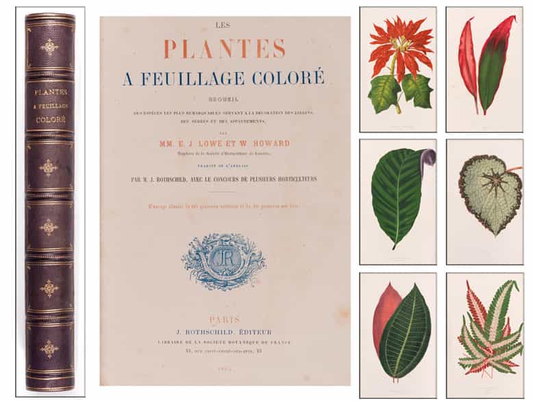 Detailabbildung: † Eine Bibliothek des 19. Jahrhunderts