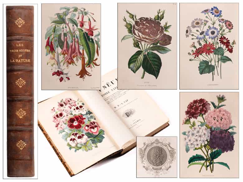 Detailabbildung: † Eine Bibliothek des 19. Jahrhunderts