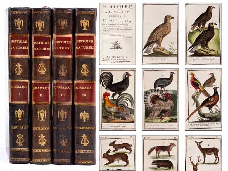 Detailabbildung: † Eine Bibliothek des 18. Jahrhunderts