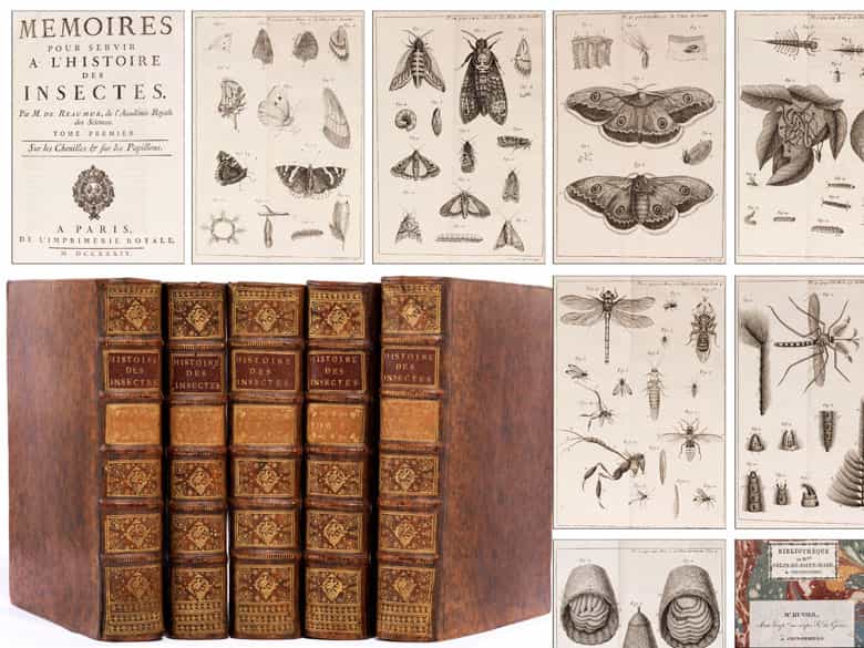 Detailabbildung: † Eine Bibliothek des 18. Jahrhunderts