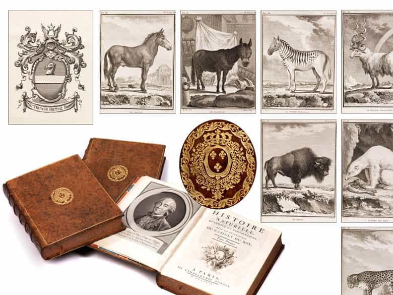 Detailabbildung: † Eine Bibliothek des 18. Jahrhunderts