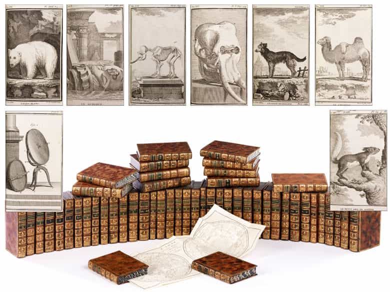 Detailabbildung: † Eine Bibliothek des 18. Jahrhunderts