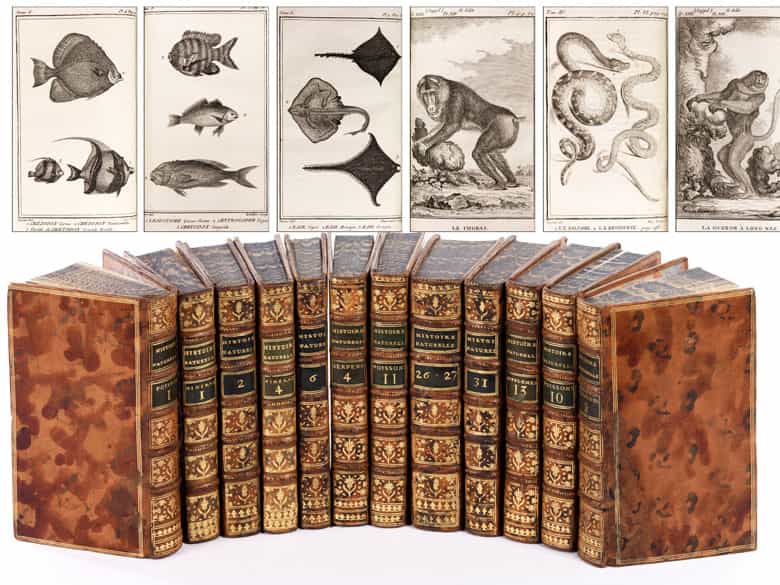 Detailabbildung: † Eine Bibliothek des 18. Jahrhunderts