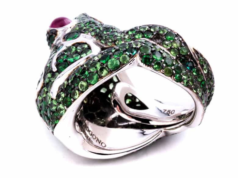 Detailabbildung:  Froschring