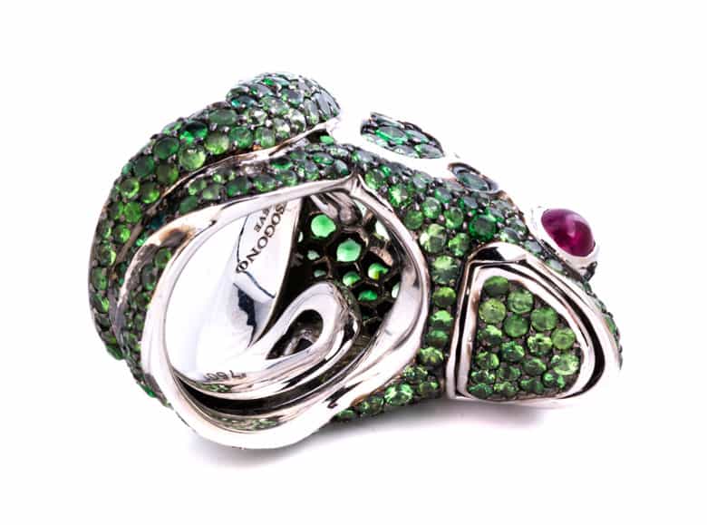 Detailabbildung:  Froschring