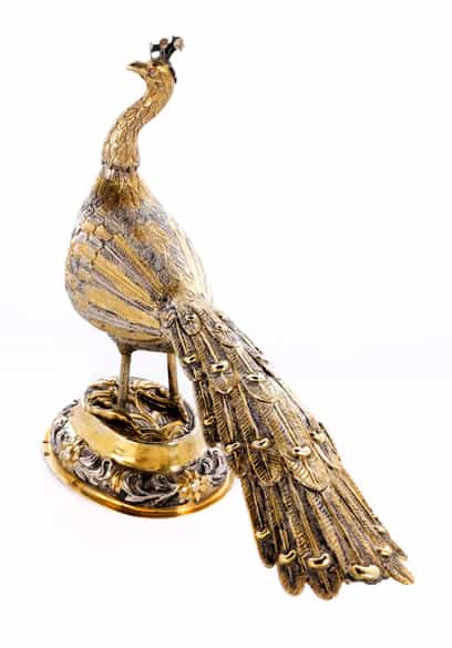 Detailabbildung:  Ungarischer Silberpfau 