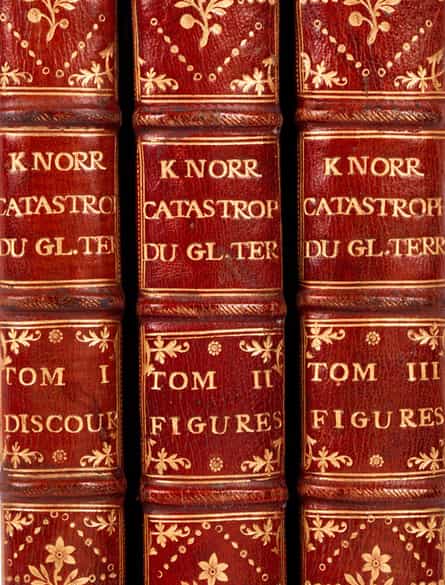 Detailabbildung: † Georg Wolfgang Knorr, 1705 - 1761