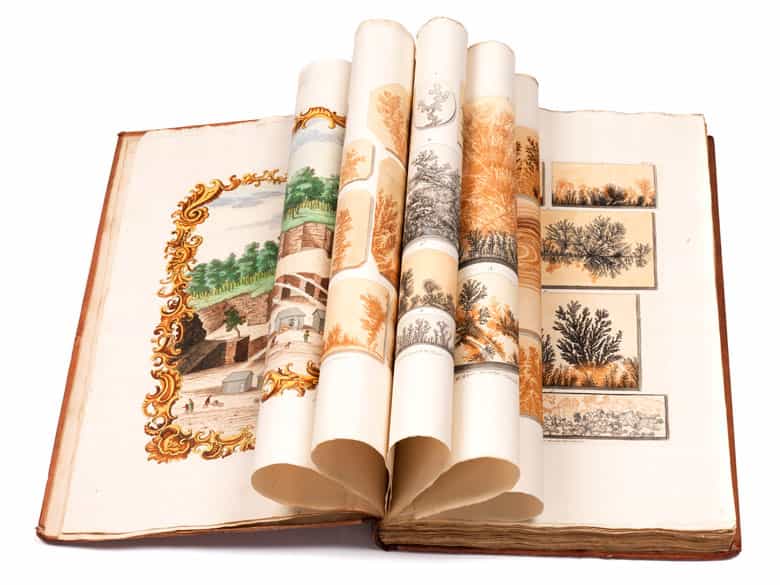 Detailabbildung: † Georg Wolfgang Knorr, 1705 - 1761