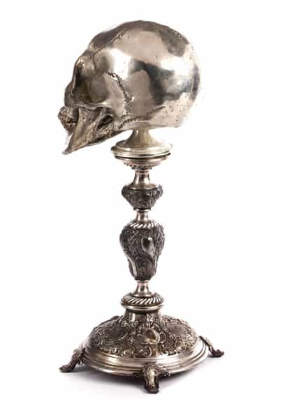 Detailabbildung:  Schädel