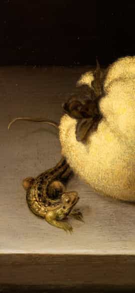 Detailabbildung: Balthasar van der Ast, 1593 Middelburg - 1657 Delft 