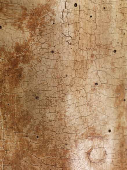 Detailabbildung: Großer Corpus Christi