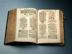 Großes Kräuterbuch aus dem Jahre 1613