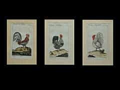 Satz von drei colorierten Stichen “Der Haushahn und zwei Hennen“