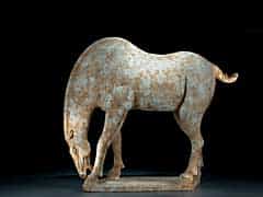 Grasendes Pferd der Tang-Dynastie