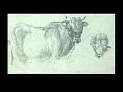 Studie einer Kuh und eines Schafes