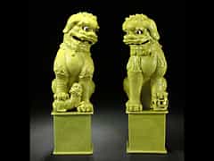 Paar große Tempelhunde