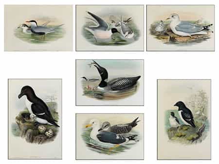 Satz von sieben Lithografien mit Vogelmotiven