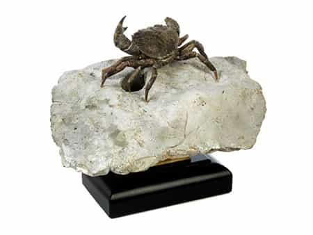 Bemerkenswert gut erhaltene fossile Krabbe