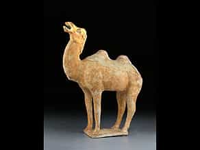 Kamel der Tang-Dynastie