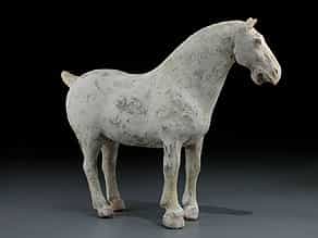 Pferd der Tang-Dynastie