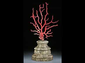 Großer Korallenbaum als barockes Kunstkammerobjekt