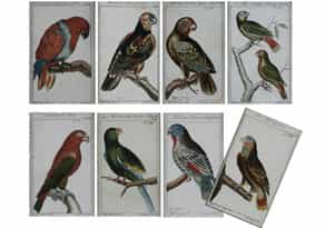 Satz von acht kolorierten Radierungen aus der Vogelkunde von Büffon