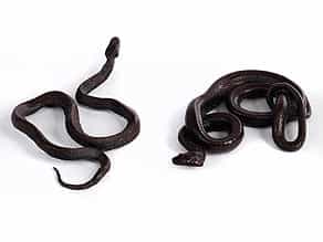 Bronze-Naturgüsse von Schlangen