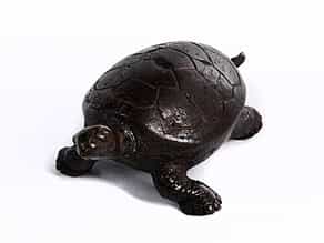 Kleine Bronze-Wasserschildkröte